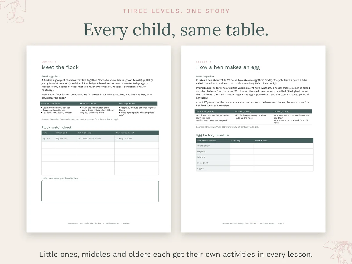 Lessons with activities for three age levels