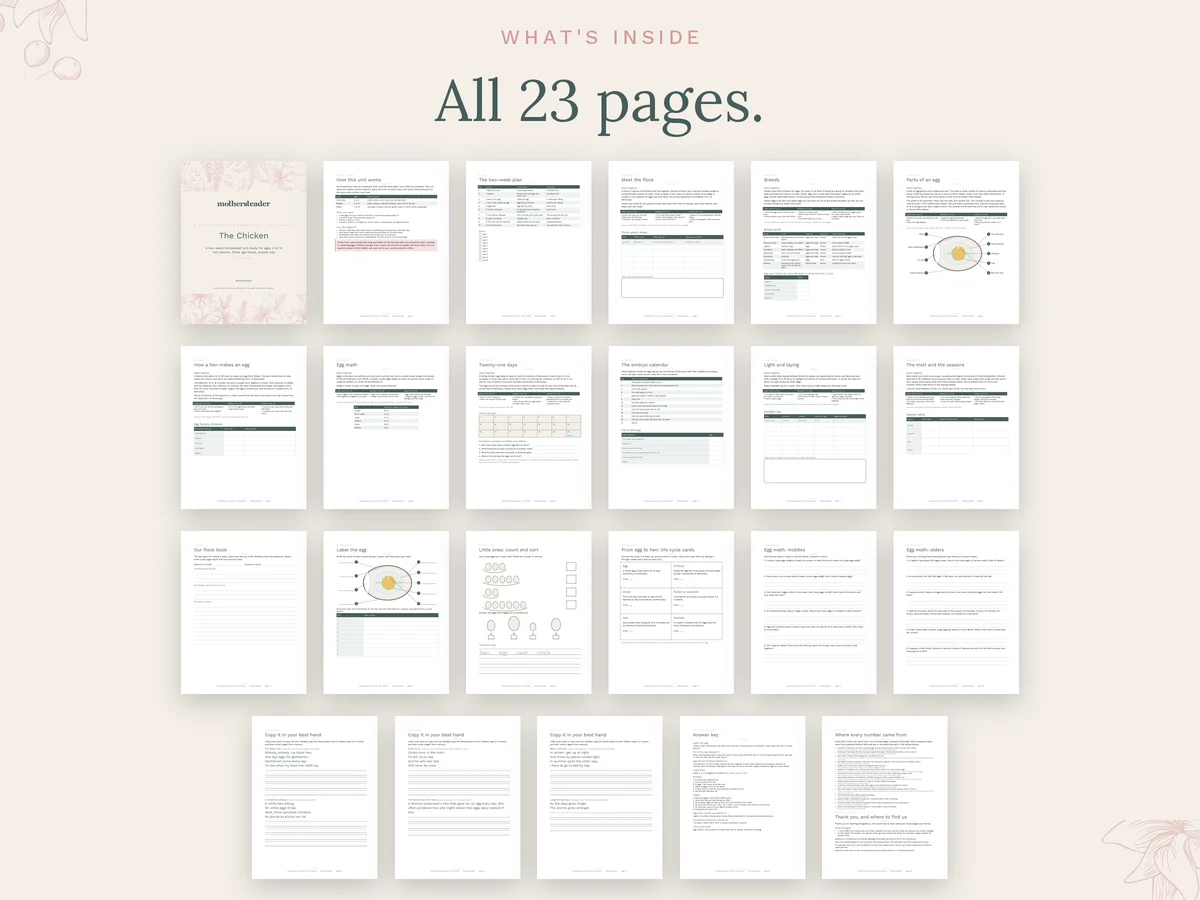 All 23 pages