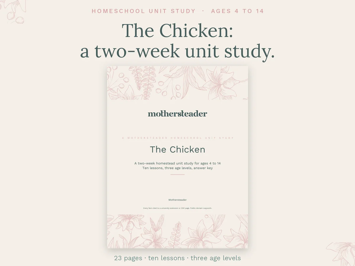 Homestead Unit Study: The Chicken, a 23-page printable for ages 4 to 14
