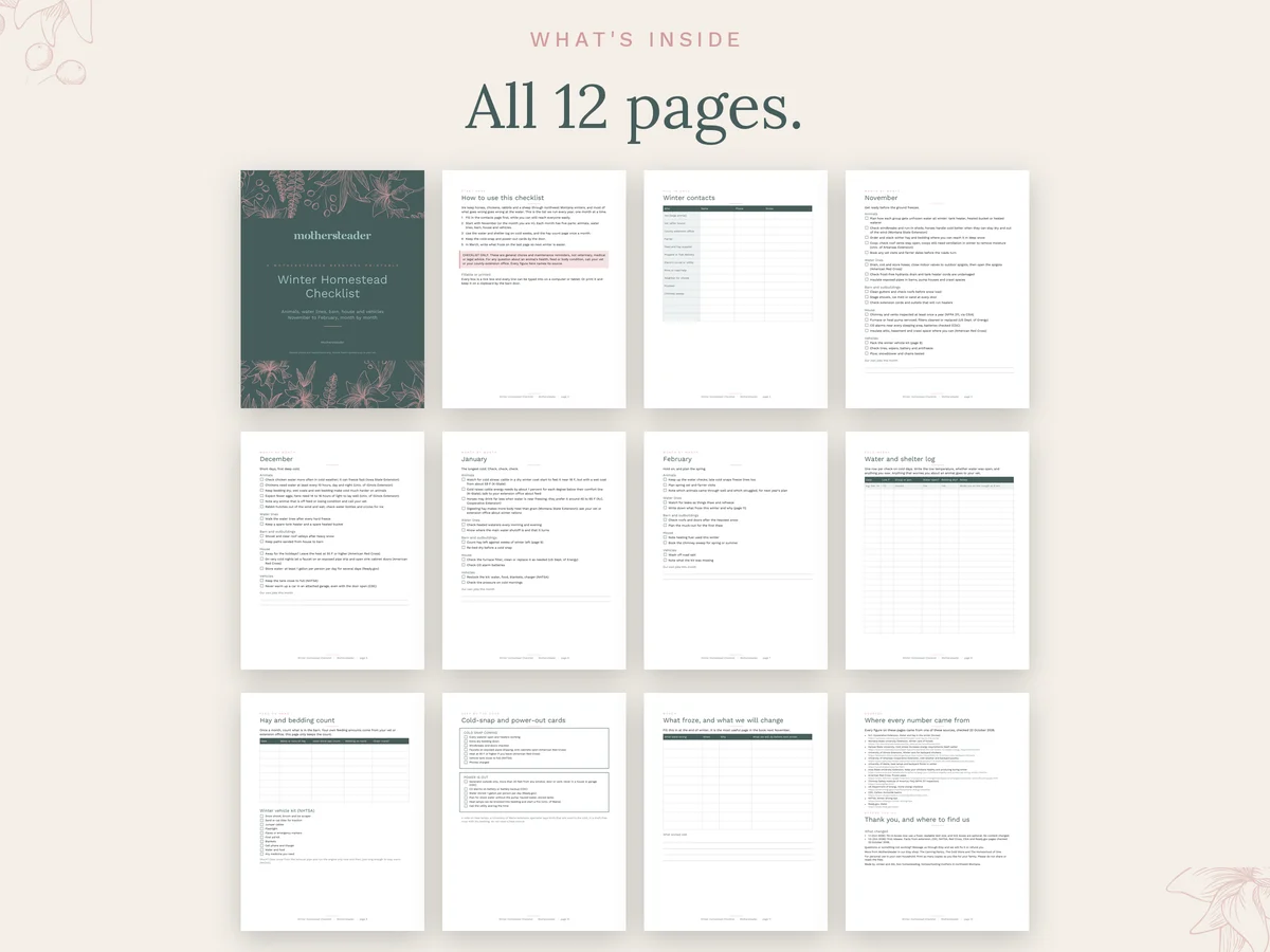 All 12 pages